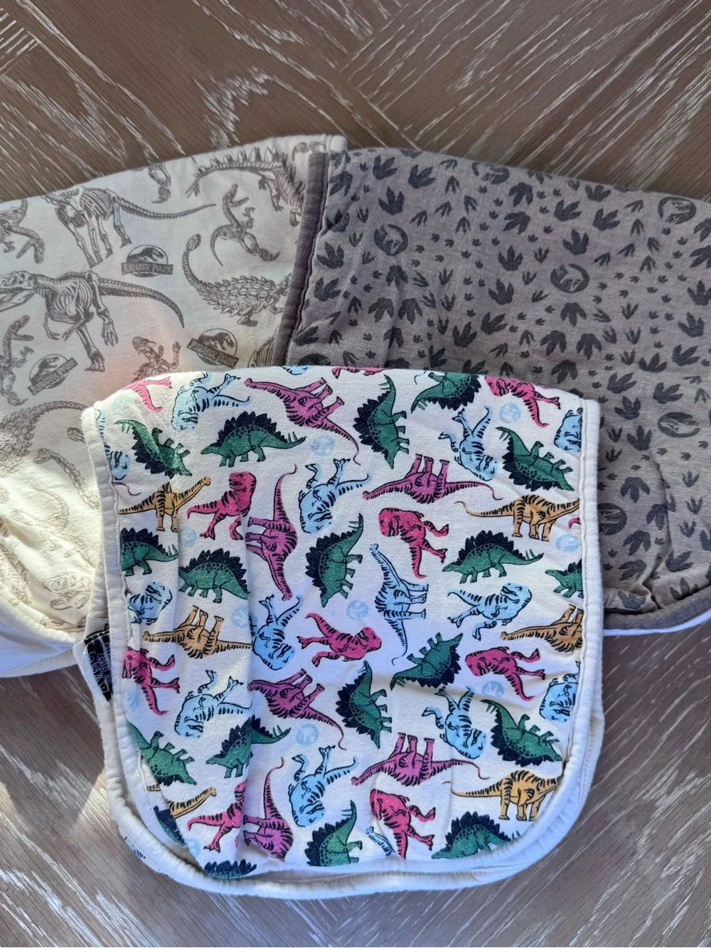 Copper Pearl Jurassic Park Burp Cloth - Multicolor
